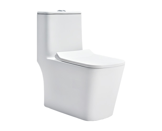 S1013222 CERA CHARM 6D 1PC  S WHITE